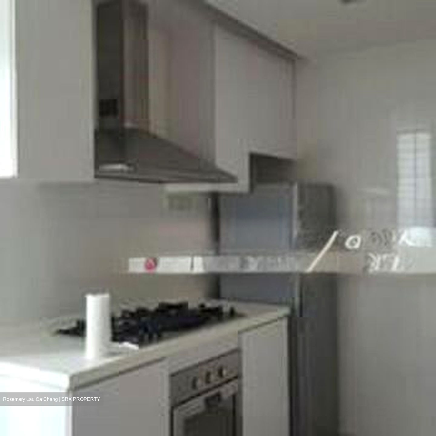Nassim Regency (D10), Condominium #579275931